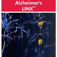 Cyrex Alzheimer’s LINX – Alzheimer’s-Associated Immune Reactivity