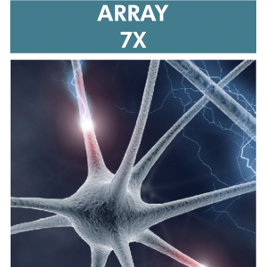 Array 7X Neurological Autoimmune Reactivity Screen – Expanded