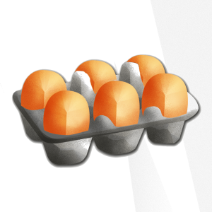 CGP - Vibrant Wellness Egg Zoomer Test