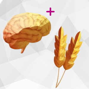 Neural Health Combo (Neural Zoomer Plus + Wheat Zoomer)