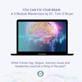You Can Fix Your Brain Masterclass